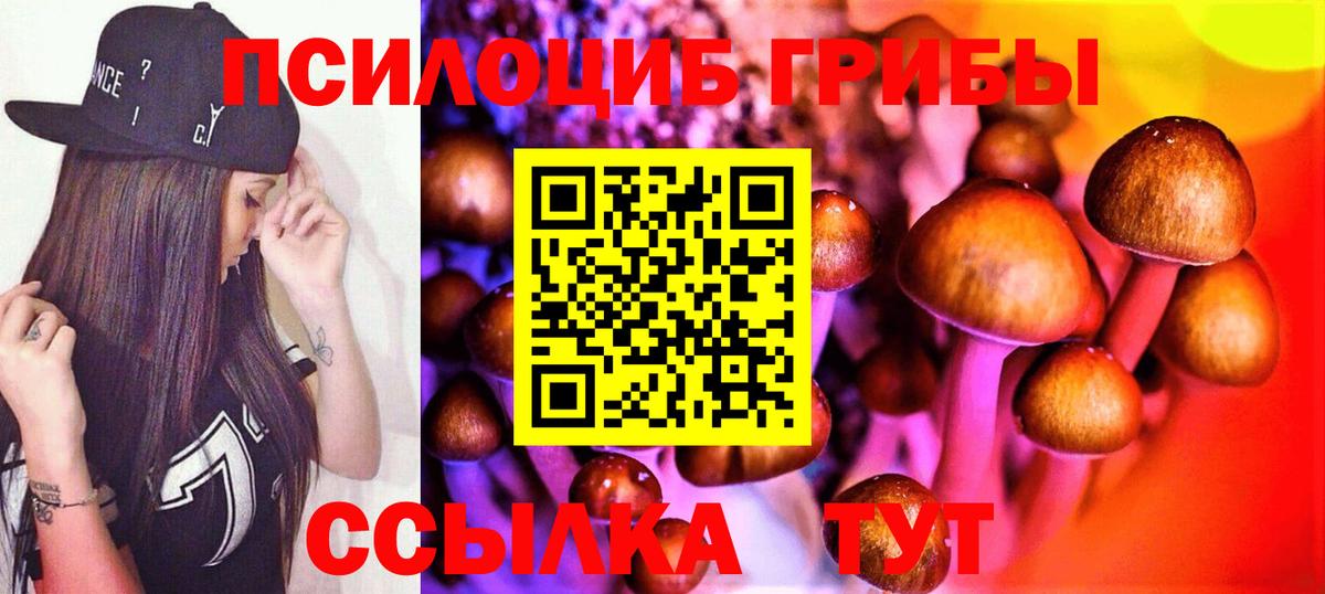 Галлюциногенные грибы MAGIC MUSHROOMS  Галлюциногенные грибы Psilocybine cubensis  цены наркотик  Пыть-Ях  Вход с VPN 